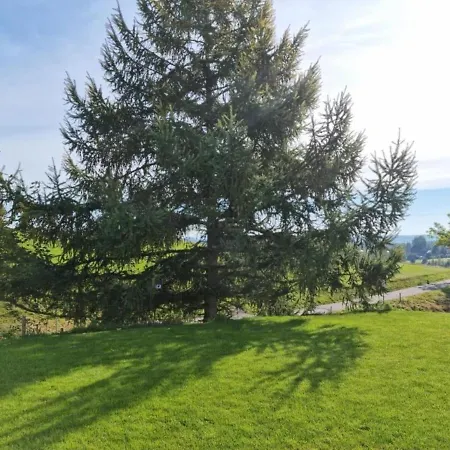 Apartment Schwarzwald-alpenblick *