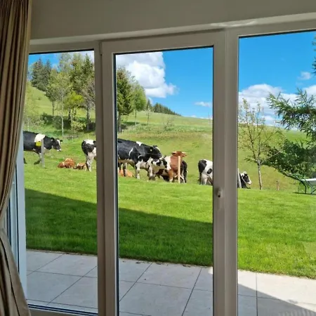 Schwarzwald-alpenblick Apartment Lenzkirch