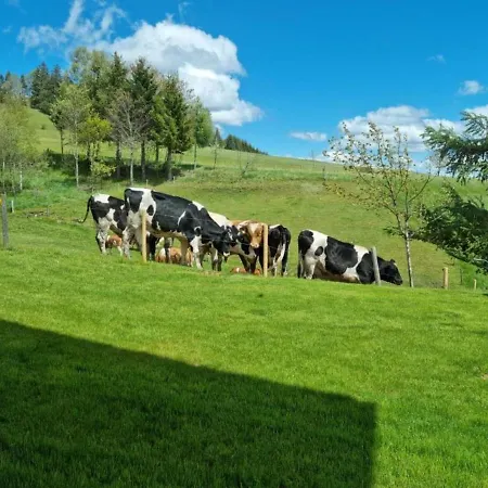 Schwarzwald-alpenblick * Lenzkirch