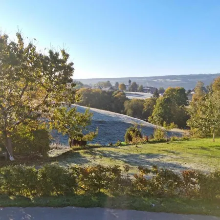 Schwarzwald-alpenblick * Lenzkirch