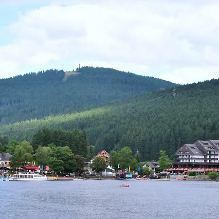 Schwarzwald-alpenblick Apartamento *