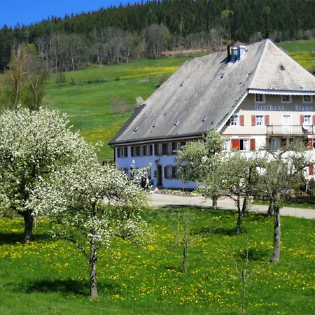 Schwarzwald-alpenblick Apartment