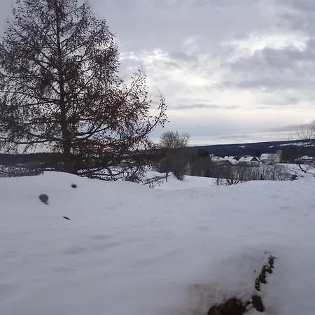 Schwarzwald-alpenblick