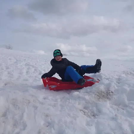 Schwarzwald-alpenblick