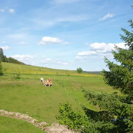Schwarzwald-alpenblick * Lenzkirch