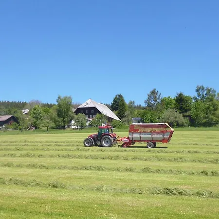 Schwarzwald-alpenblick