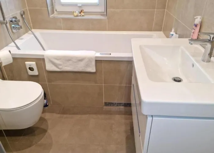 Schwarzwald-alpenblick * Lenzkirch